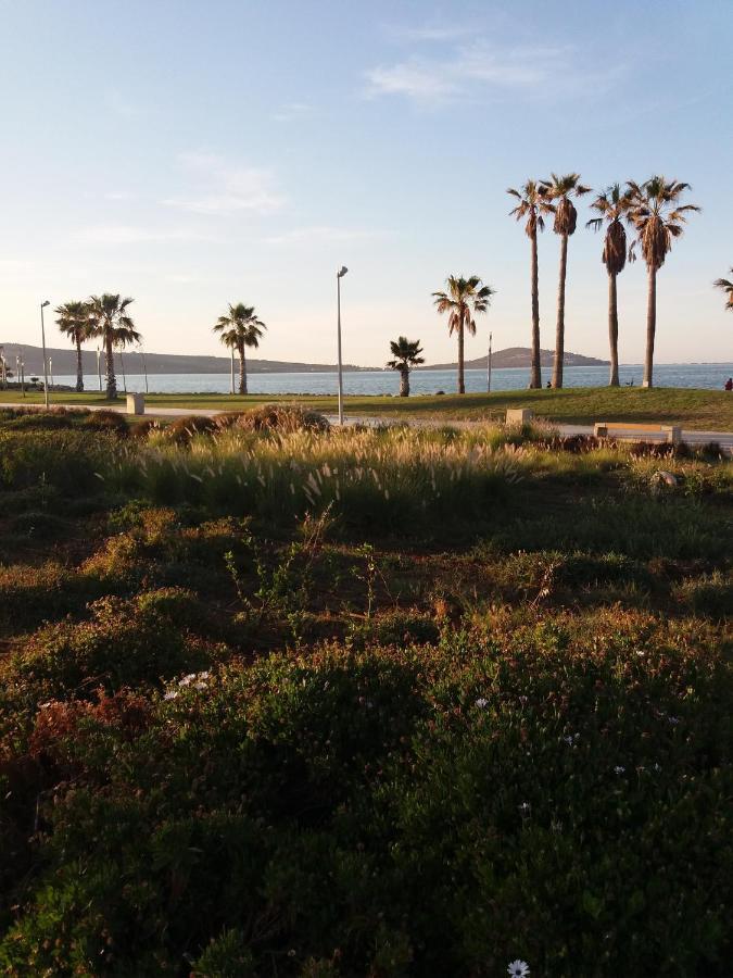 Apartment Nador Rif Экстерьер фото